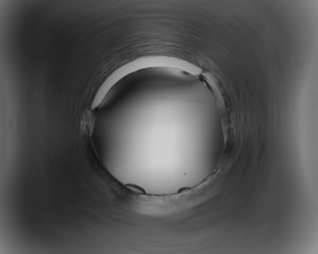 X0000087740045200705291022