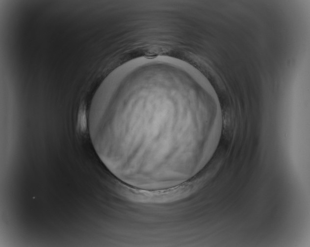 X0000087740046200705291022