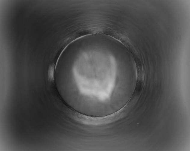 X0000087740047200705291022