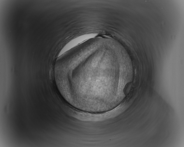 X0000087740048200705291022