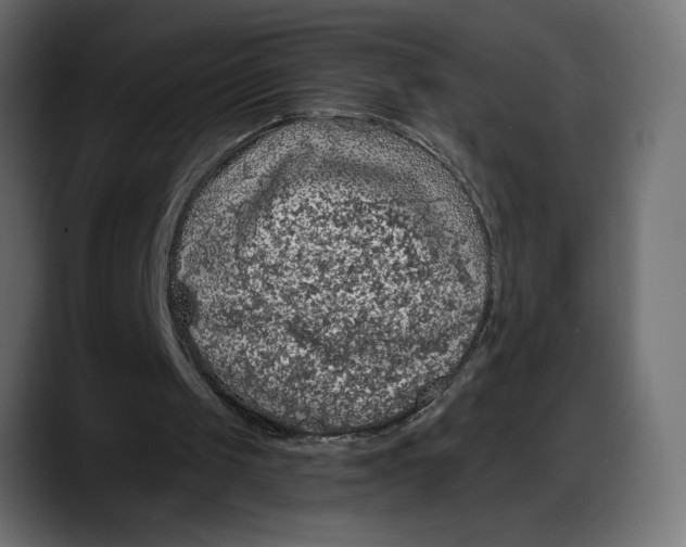X0000087740049200705291021