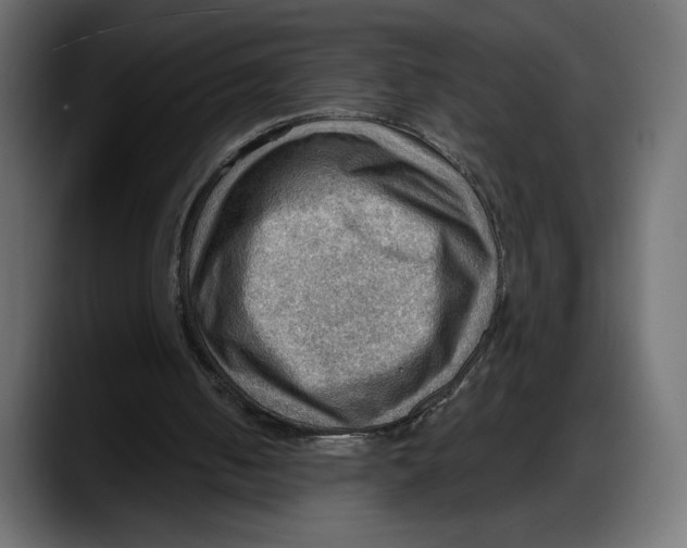 X0000087740050200705291021