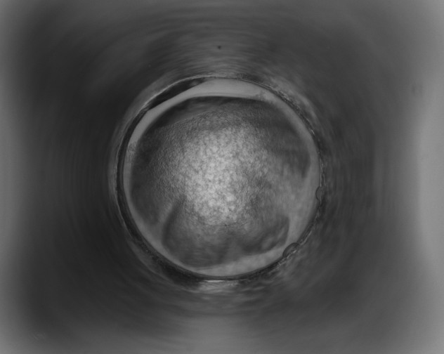 X0000087740051200705291021