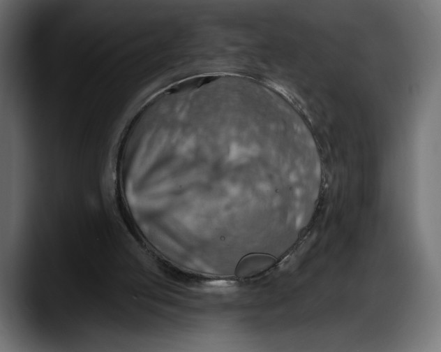 X0000087740053200705291021