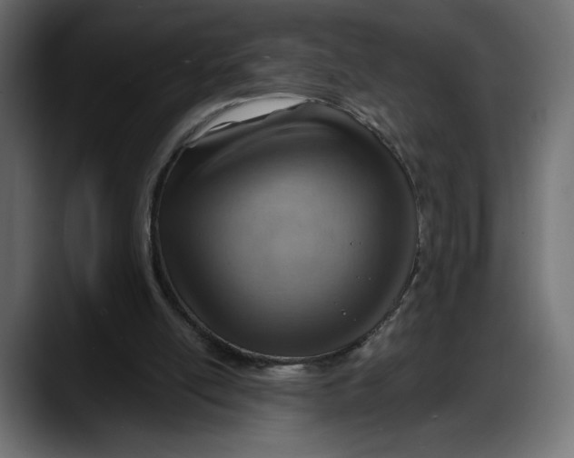 X0000087740054200705291021