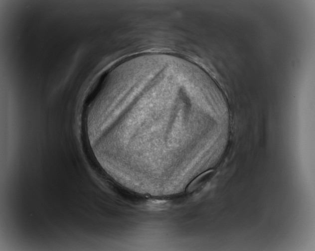X0000087740055200705291021