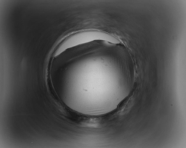 X0000087740056200705291021