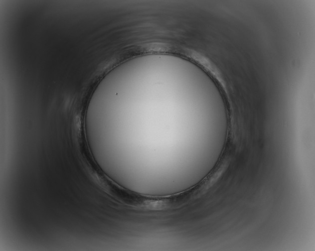 X0000087740057200705291021