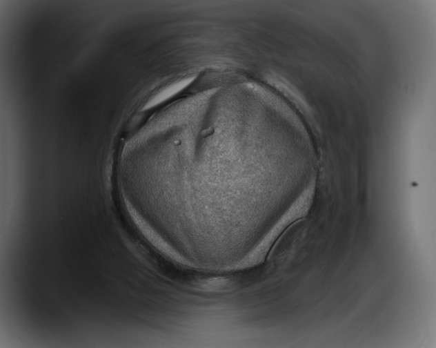 X0000087740058200705291021