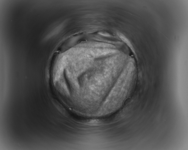 X0000087740059200705291021