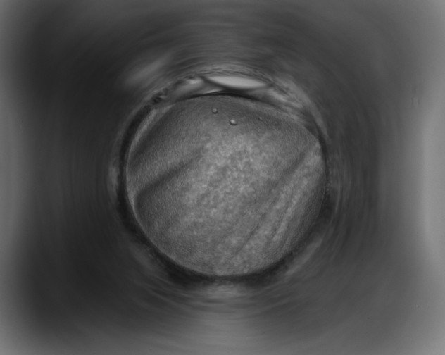 X0000087740063200705291021