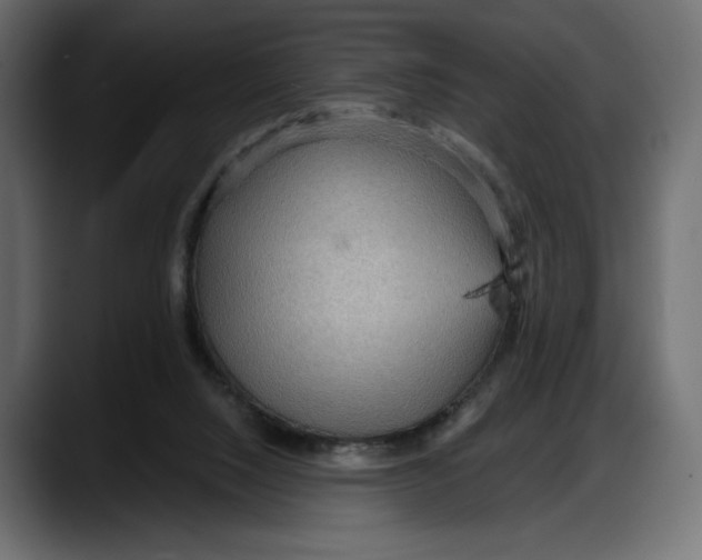 X0000087740064200705291021