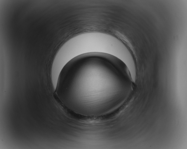 X0000087740065200705291021