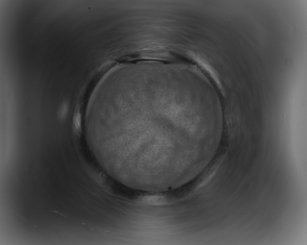 X0000087740067200705291021