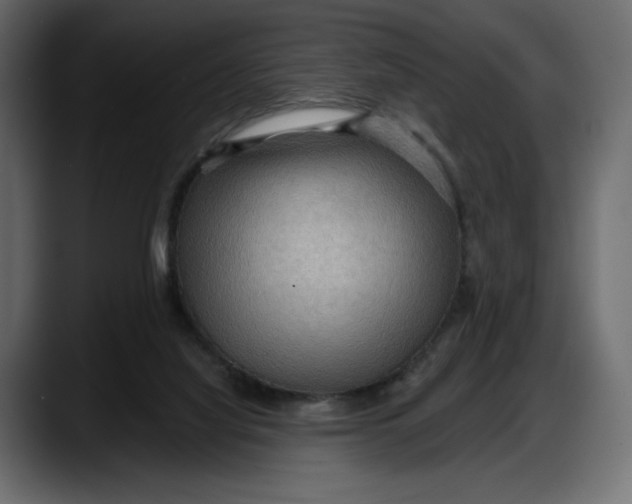 X0000087740068200705291021