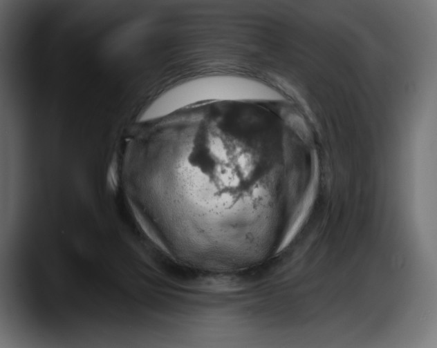 X0000087740069200705291021