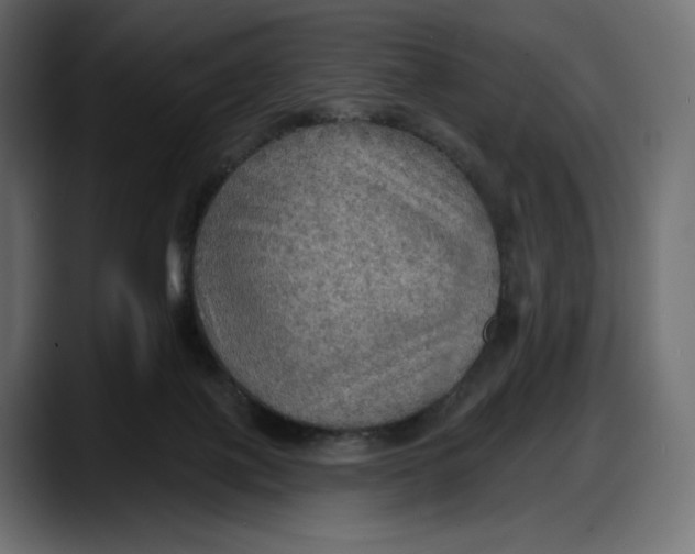 X0000087740075200705291022