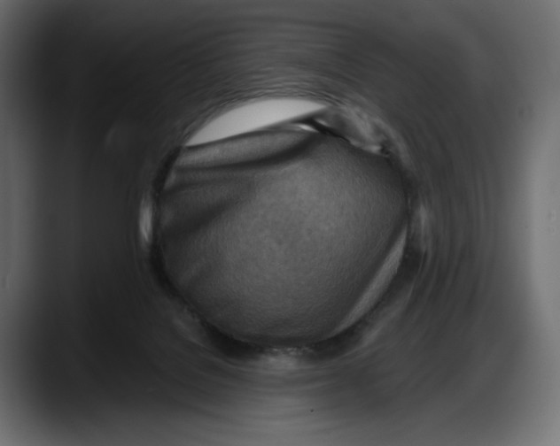 X0000087740076200705291022