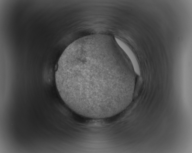 X0000087740077200705291022