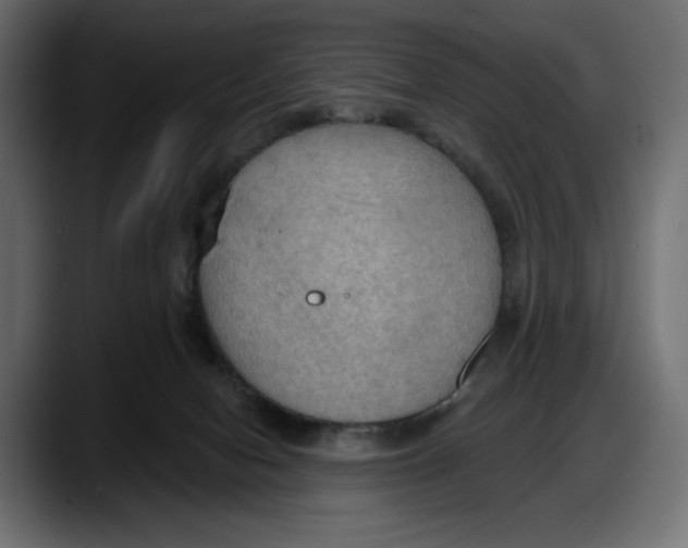 X0000087740078200705291022