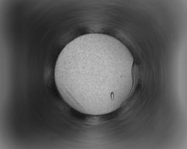 X0000087740079200705291022