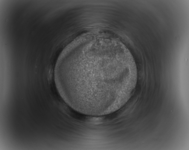 X0000087740081200705291022