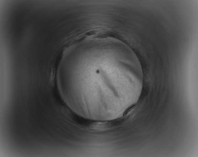 X0000087740082200705291022