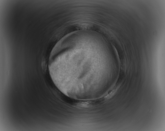 X0000087740086200705291022