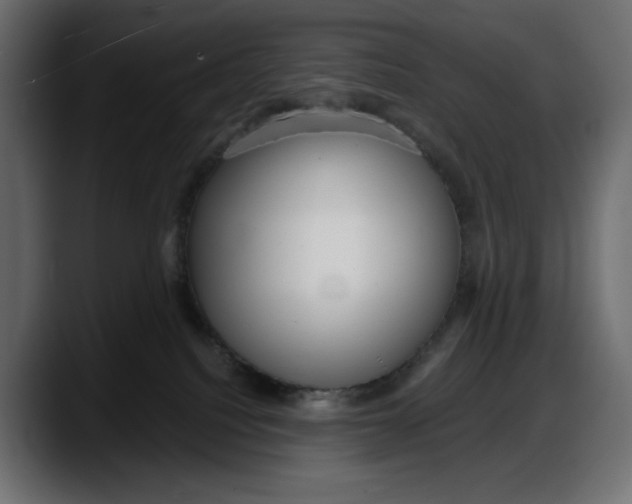 X0000087740088200705291022