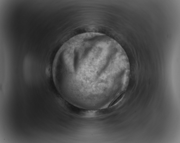 X0000087740090200705291022