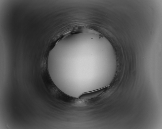 X0000087740096200705291022