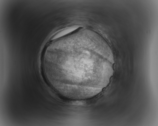 X0000087740102200705291021