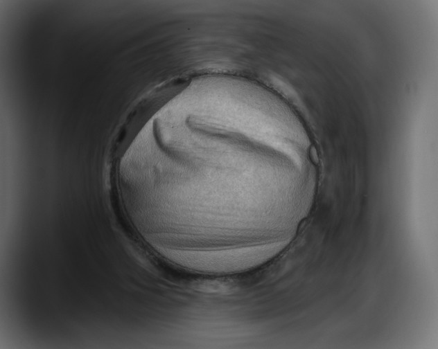 X0000087740106200705291021