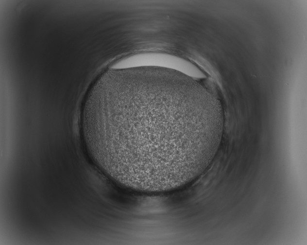 X0000087740107200705291021