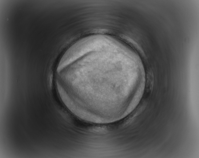 X0000087740110200705291021