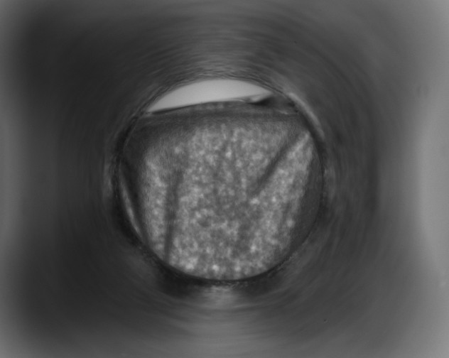 X0000087740114200705291021
