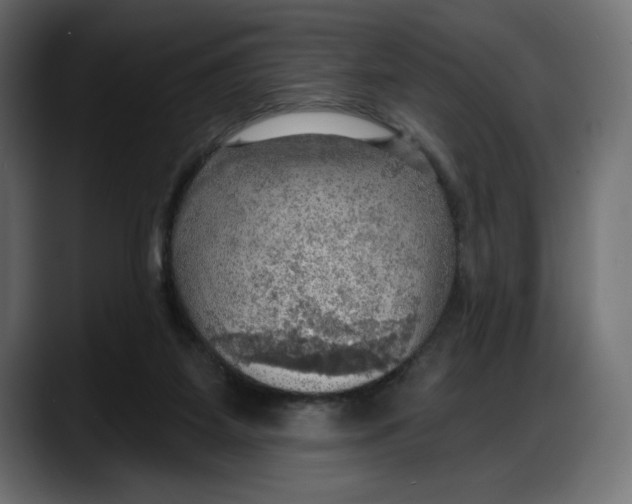 X0000087740115200705291021