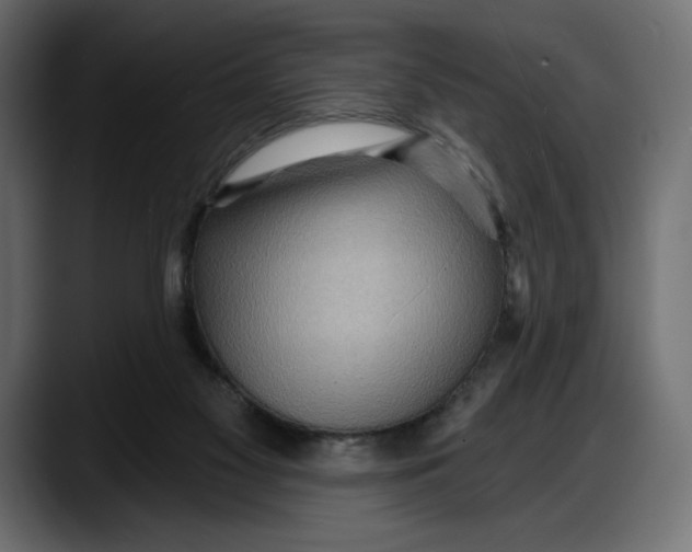 X0000087740117200705291021