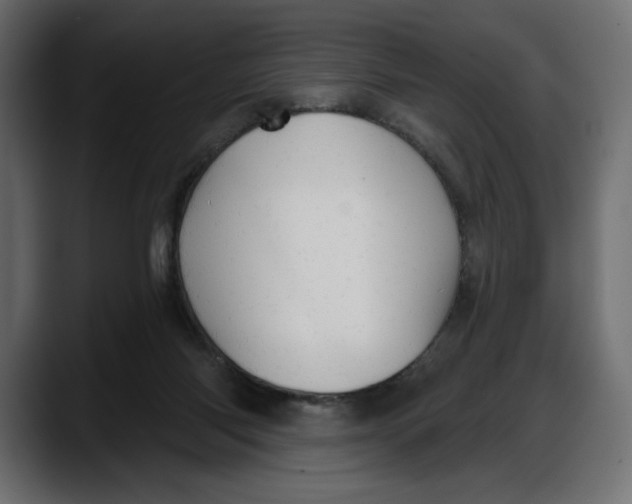 X0000087740118200705291021