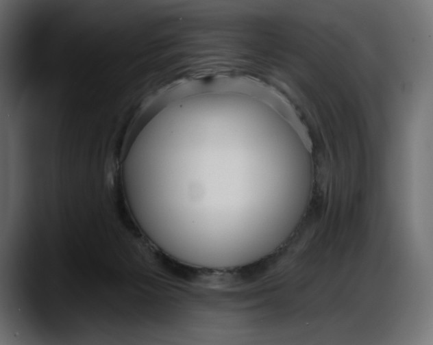 X0000087740125200705291021