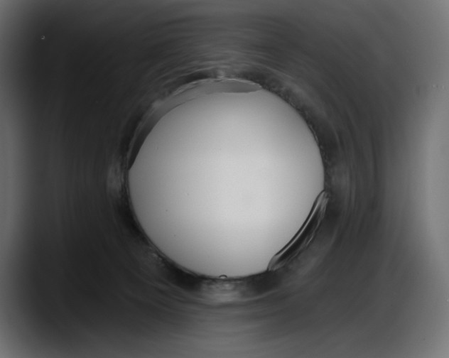 X0000087740129200705291021
