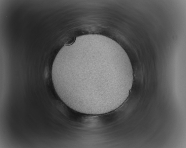X0000087740132200705291021