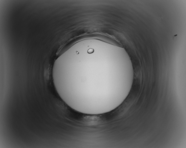 X0000087740133200705291021