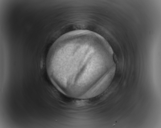 X0000087740134200705291021