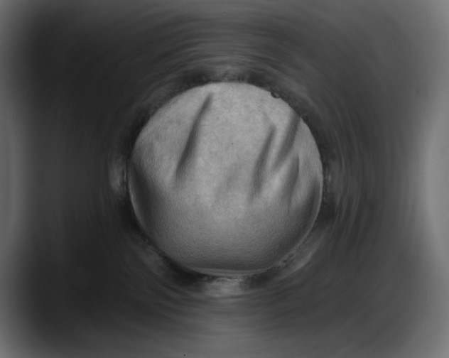 X0000087740138200705291021