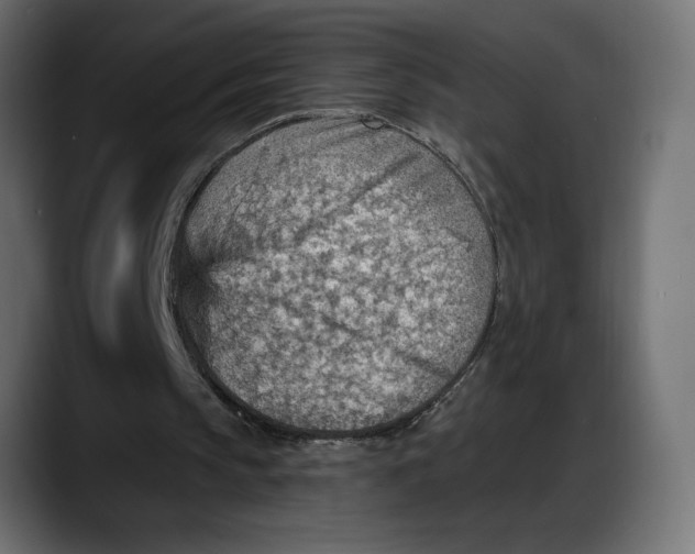 X0000087740145200705291020