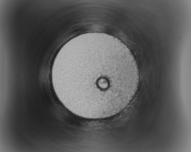 X0000087740146200705291020