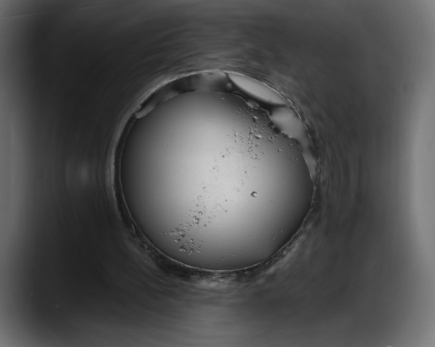 X0000087740148200705291020