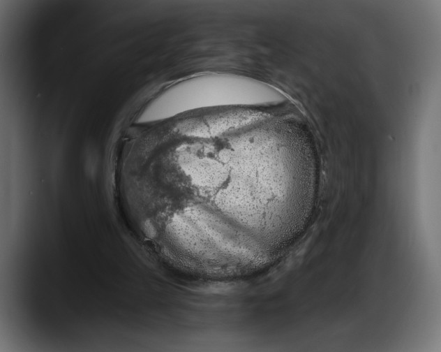 X0000087740149200705291020