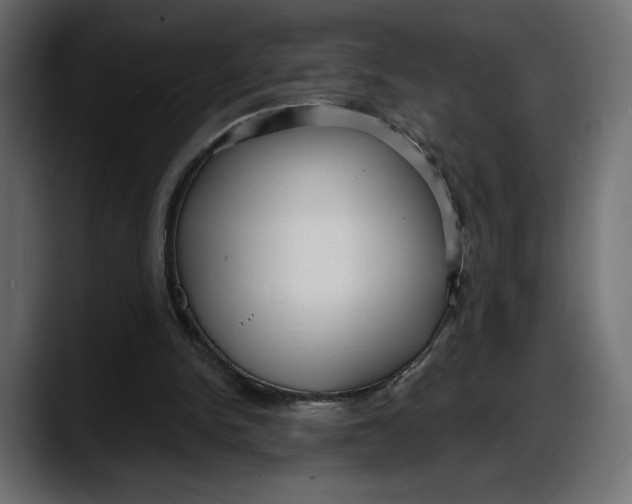 X0000087740150200705291020